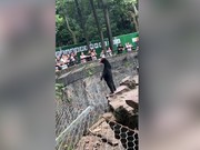 VIDEO: Penampakan Beruang Madu yang Viral Diduga Manusia Berkostum