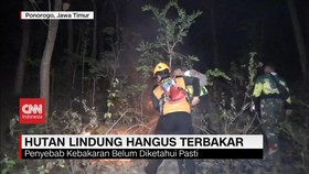 VIDEO: Hutan Lindung di Ponorogo Hangus Terbakar