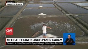 VIDEO: Melihat Petani Prancis Panen Garam