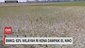 VIDEO: BMKG: 63% Wilayah RI Kena Dampak El Nino