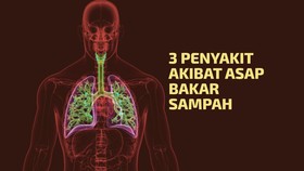 INFOGRAFIS: Bahaya! Ini 3 Penyakit Akibat Asap Bakar Sampah