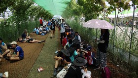5 'Kesialan' Jambore Dunia Korsel: Cuaca Ekstrem sampai Muncul Ular