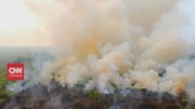 VIDEO: Dua Wilayah Tetapkan Status Tanggap Darurat Karhutla