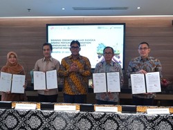 Komitmen PIS Dukung NZE dan Kelestarian Laut Indonesia