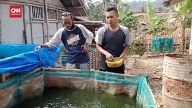 VIDEO: Tambang Emas Ilegal di Banyumas Ditutup, Warga Alih Profesi