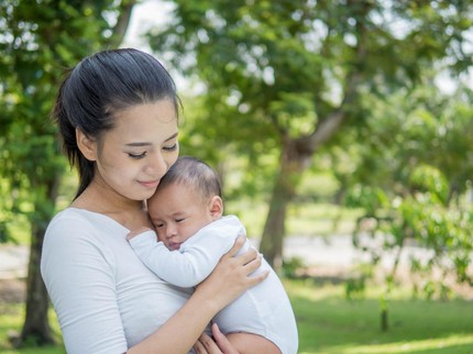 Manfaat Daun Pepaya Jepang untuk Ibu Menyusui