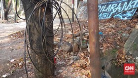 Fakta-fakta Kasus Kecelakaan Sultan Terjerat Kabel Optik Bali Tower