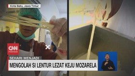 VIDEO: Sehari Menjadi Pengolah Keju Mozarella