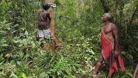 Konservasi Indonesia Harapkan Hutan Adat Konda Sebelum Jokowi Lengser