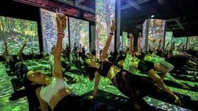 FOTO: Sensasi Yoga di Pameran Multisensori Van Gogh