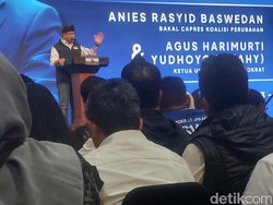 Anies Baswedan Sebut Masalah PPDB Seperti Sakit Panas