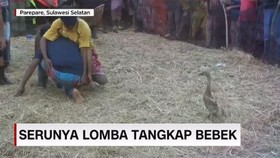VIDEO: Serunya Lomba Tangkap Bebek