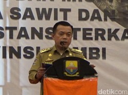 Al Haris Sebut Kelapa Sawit Jadi Primadona di Jambi, Ini Alasannya