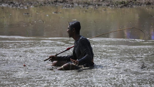 FOTO: Festival Pacu Kerbau Thailand Tandai Dimulainya Musim Tanam Padi