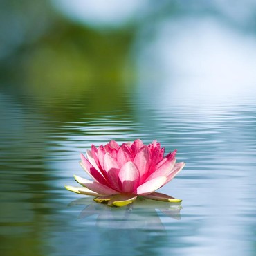 Lirik Lagu Sunda Talaga Reumis - Nining Meida