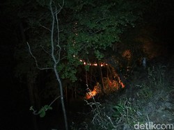 Kebakaran Hutan 5 Hektare di Ponorogo Lelehkan Pipa Sumber Air Milik Warga