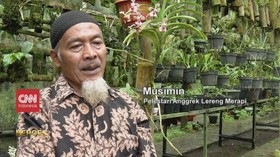 VIDEO: Pelestari Anggrek Lereng Gunung Merapi