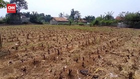 VIDEO: Tragis, Bogor Dikenal Kota Hujan, Kini Dilanda Kekeringan