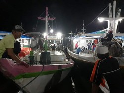 Olahan Ikan-Cumi Lezat yang Memanjakan Lidah di TPI Lappa Sinjai