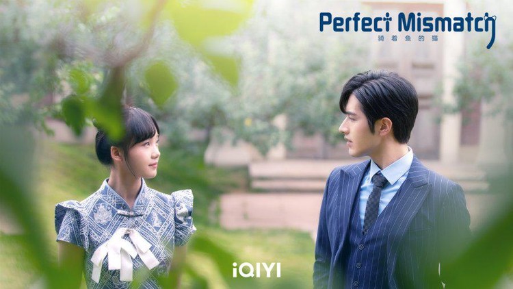 Drama China Perfect Mismatch