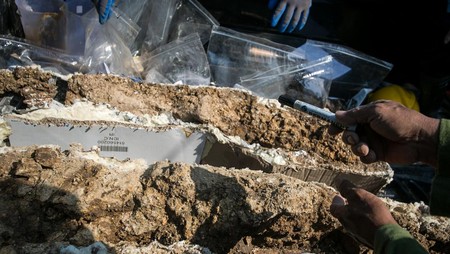 Pria Ini Renovasi Gudang, Malah Temukan Fosil Mamut Langka 40 Ribu Tahun