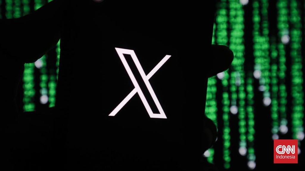 Negara Tetangga RI Hingga Eropa Investigasi X, Ini Penyebabnya