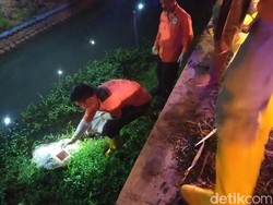Mayat Mutilasi di Jombang: Awal Penemuan hingga Ciri-ciri Korban
