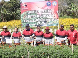 Gubernur Bali Luncurkan Varietas Gemitir Bali Sudamala di Tabanan