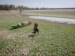 Gegara El Nino, Inflasi Tahun Depan Diprediksi Tembus 3,5%