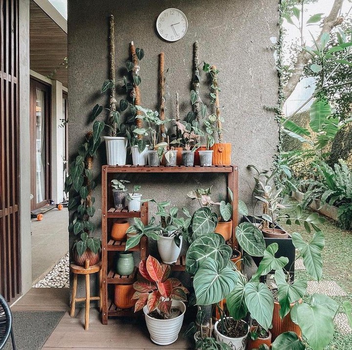 <p>Beberapa tanaman hias diletakkan Ersa di dalam pot-pot kecil yang tertata rapih. Tanaman ini sekaligus menjadi dekorasi area teras. (Foto: Instagram @ersamayori)</p>