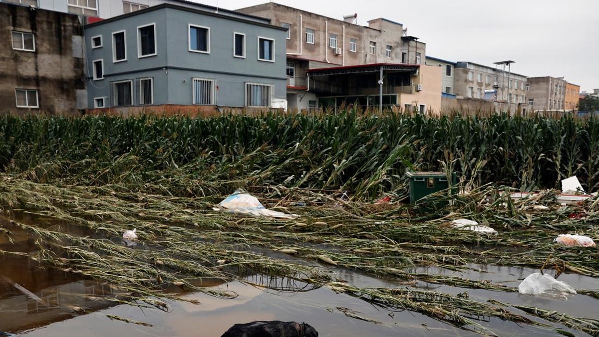 FOTO: China Dihantui Wabah Penyakit usai Banjir Surut