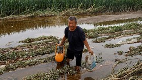 FOTO: China Dihantui Wabah Penyakit usai Banjir Surut