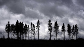 Pakta Iklim Sharm el-Sheikh Disorot Jelang COP28, Apa Pentingnya?
