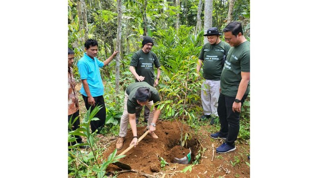 Gerakan penanaman seribu bibit Durian Bawor itu dilakukan PNM untuk menghijaukan lingkungan, sekaligus memberi nilai tambah ekonomi bagi penerima manfaat.