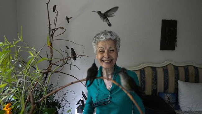 FOTO: Kasih Sayang Nenek di Meksiko untuk Burung-burung yang Sakit