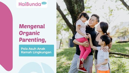 Detik Network