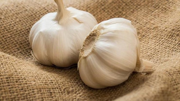 Bawang putih bisa untuk mengusir semut di rumah