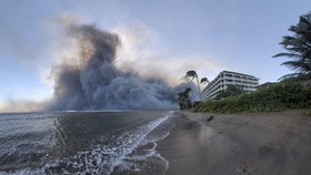 Bantu Evakuasi Kebakaran Maui, Maskapai Ini Jual Tiket Super Murah