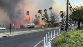 Deret Insiden Kebakaran Hutan yang Pernah 'Hanguskan' Hawaii