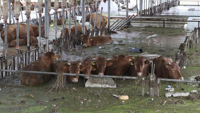 FOTO: Ribut-ribut Topan Khanun Terjang Korsel