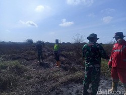 Luas Lahan Terbakar di Muaro Jambi Capai 20 Hektare