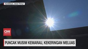 VIDEO: Puncak Musim Kemarau, Kekeringan Meluas