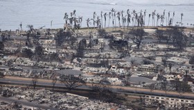 Penyebab Kebakaran Hutan di Hawaii yang Tewaskan 80 Orang