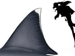 Ukuran Asli Hiu Megalodon, Siripnya Saja Sebesar Manusia Dewasa