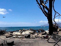 Ya Ampun! Pasca Kebakaran Maui, Turis Tetap Datang dan Selfie