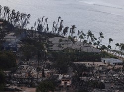 Maskapai Bergandengan Tangan Bawa Kabur Turis dari Maui