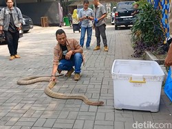 Selain Kurus, Panji Petualang Gampang Lemas Efek Idap Diabetes