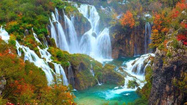 Taman nasional seringkali menjadi destinasi wisata bagi wisatawan yang ingin menikmati pemandangan yang asri hingga menikmati udara segar.