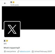 Twitter/X Akan Punya Fitur Video Call Tanpa Nomor Telepon, Seperti Apa?