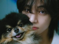 Bisakah Lagu Natal V BTS Kalahkan PLAVE Tahun Ini?